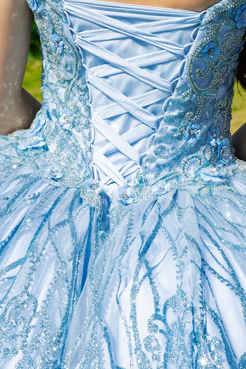 Embroidered Lace Applique Strapless Sheer Corset Ombre Ball Gown for Women 4/XS-16/3X